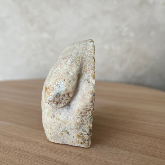 Agate Geode
