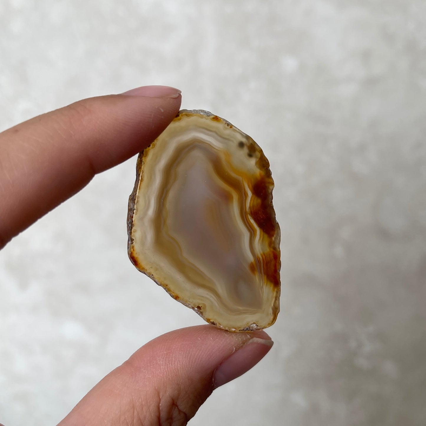 Agate Slice Natural Mini