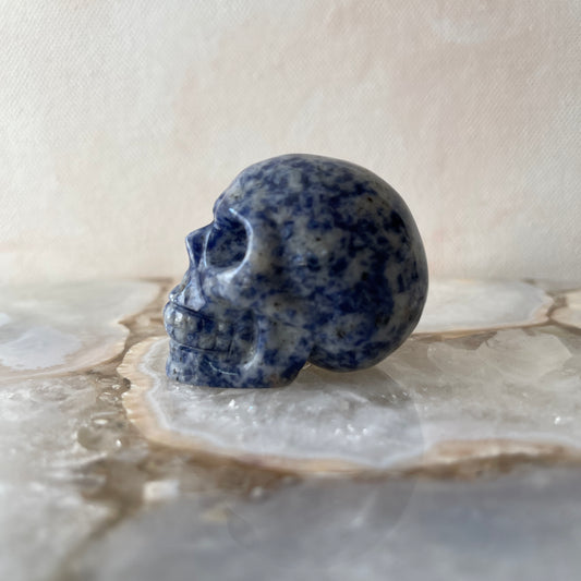 Sodalite Skull Carving