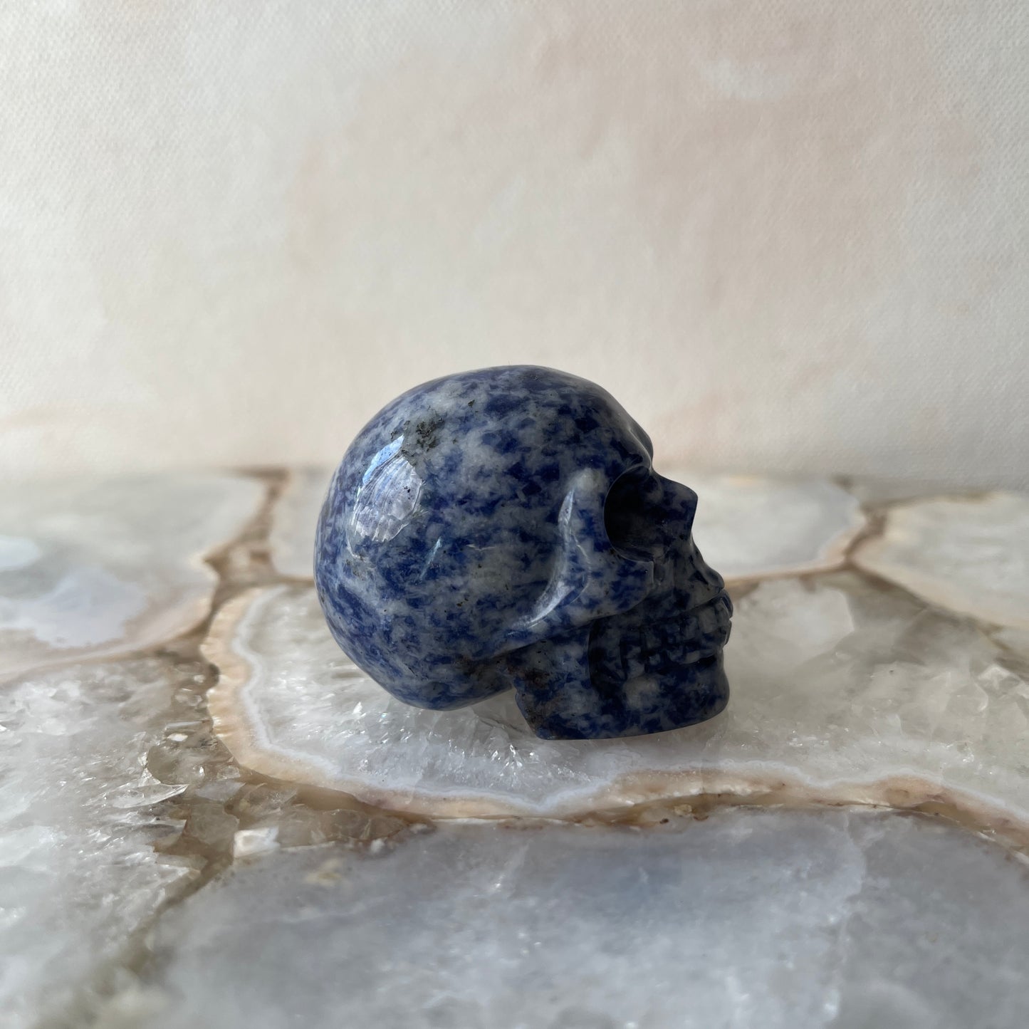 Sodalite Skull Carving