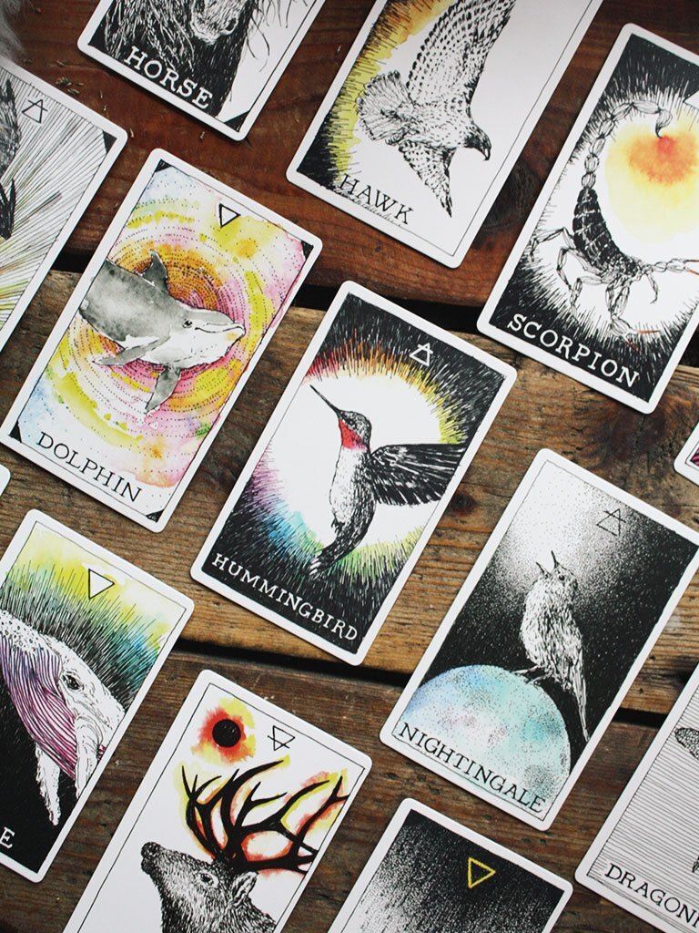The Wild Unknown Animal Spirit Deck And Guidebook