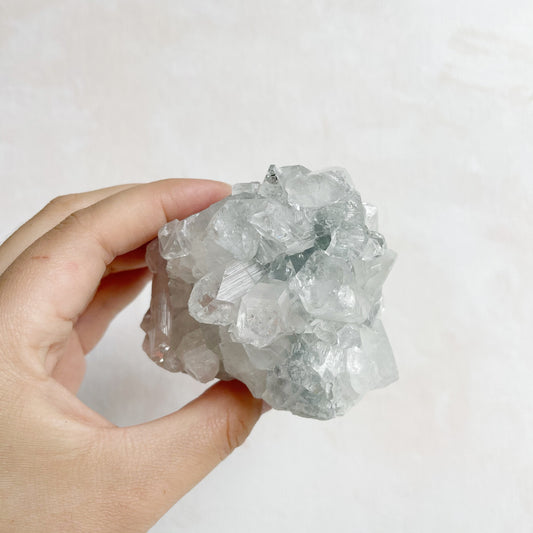 Apophyllite Cluster