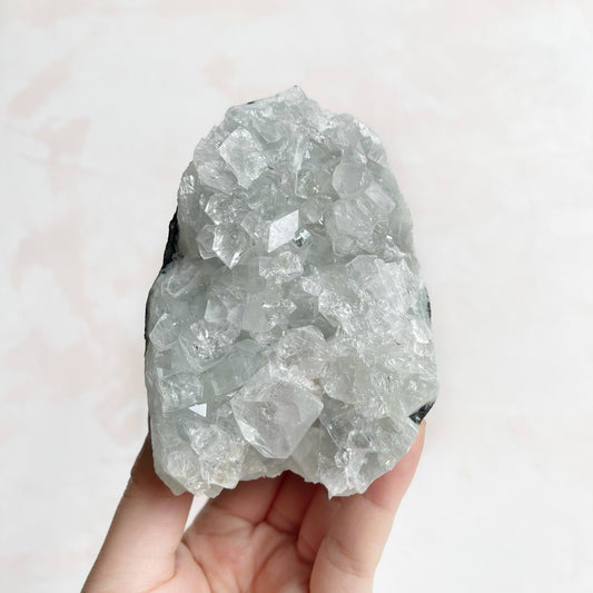 Apophyllite Cluster