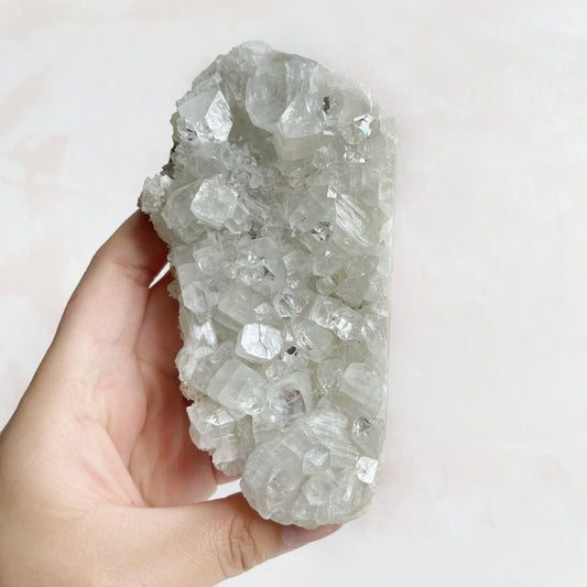 Apophyllite Cluster
