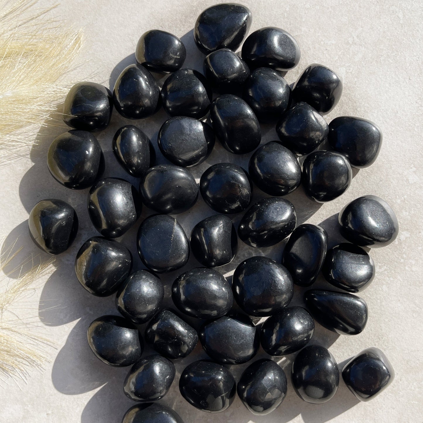 Shungite Tumbles