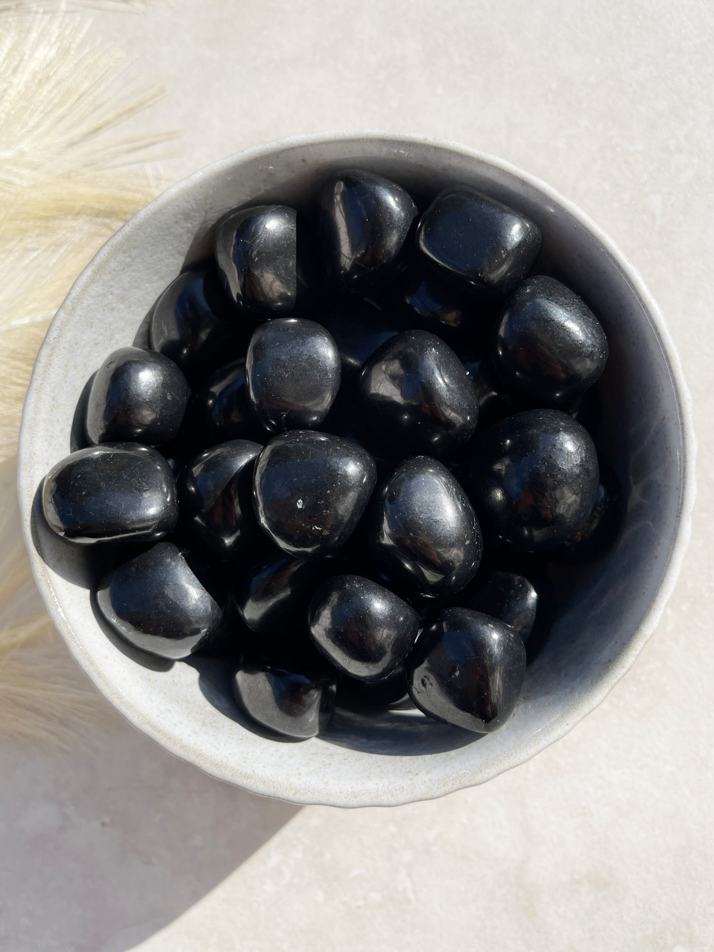 Shungite Tumbles