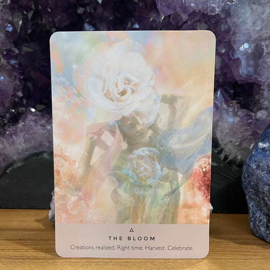The Rose Oracle: A 44-Card Deck and Guidebook