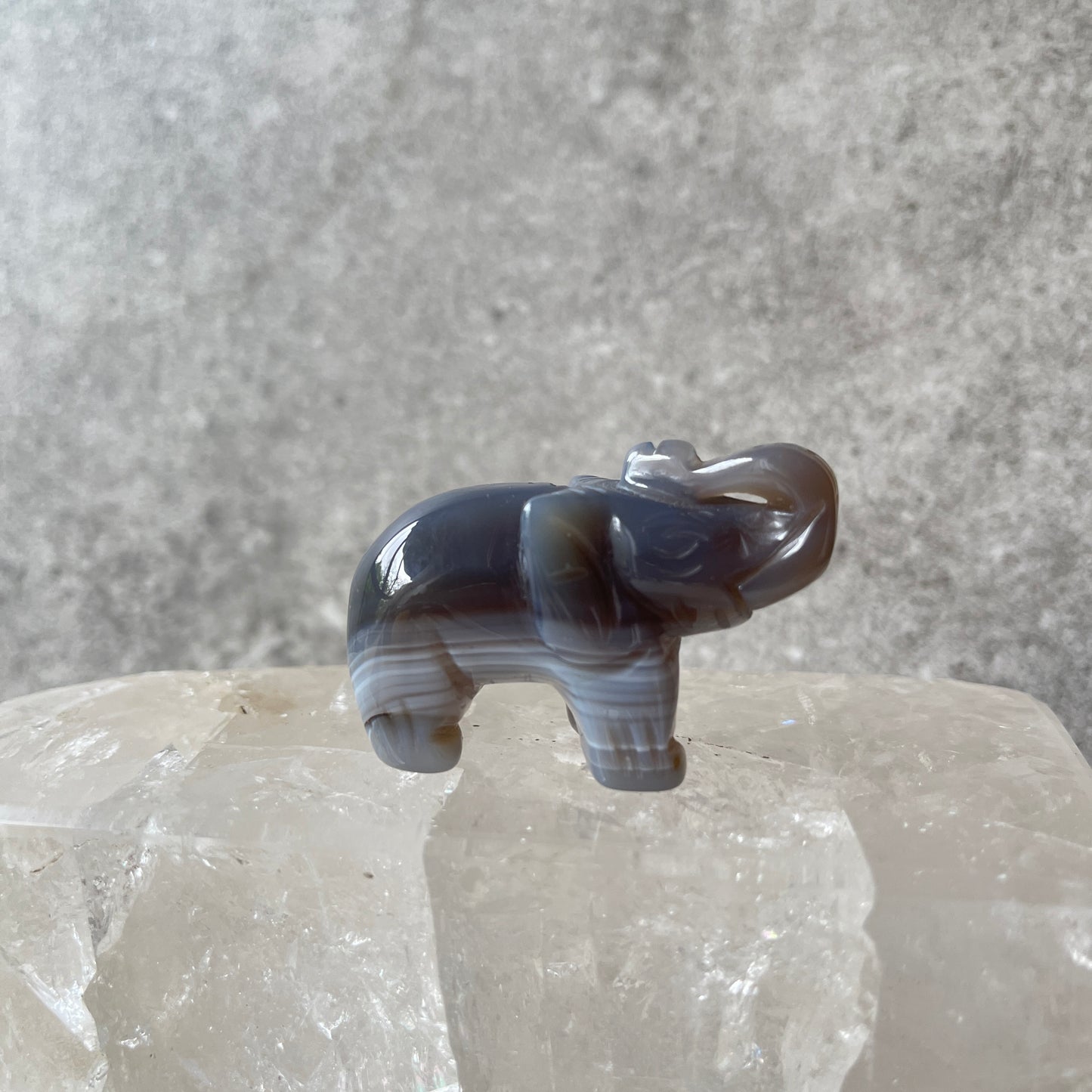 Elephant Animal Carvings