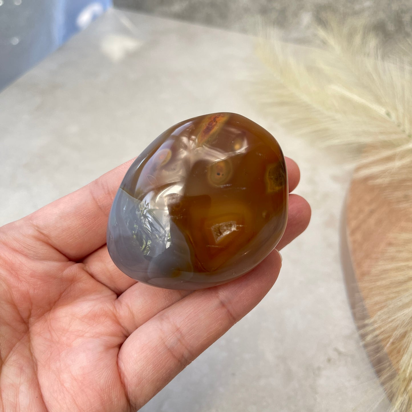 Agate Palm Stone