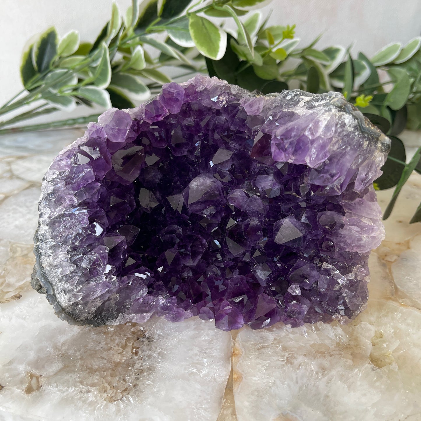 Amethyst Cluster