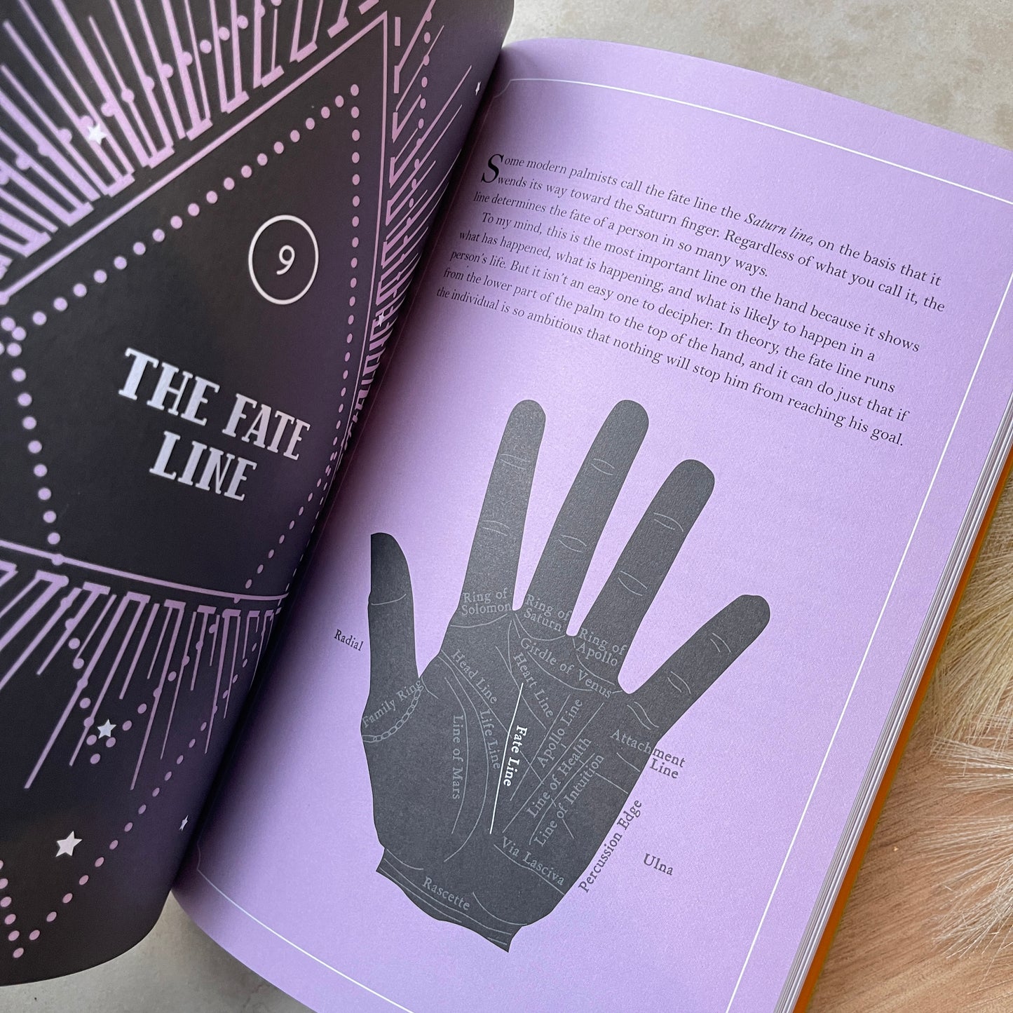 In Focus Palmistry: Your Personal Guide