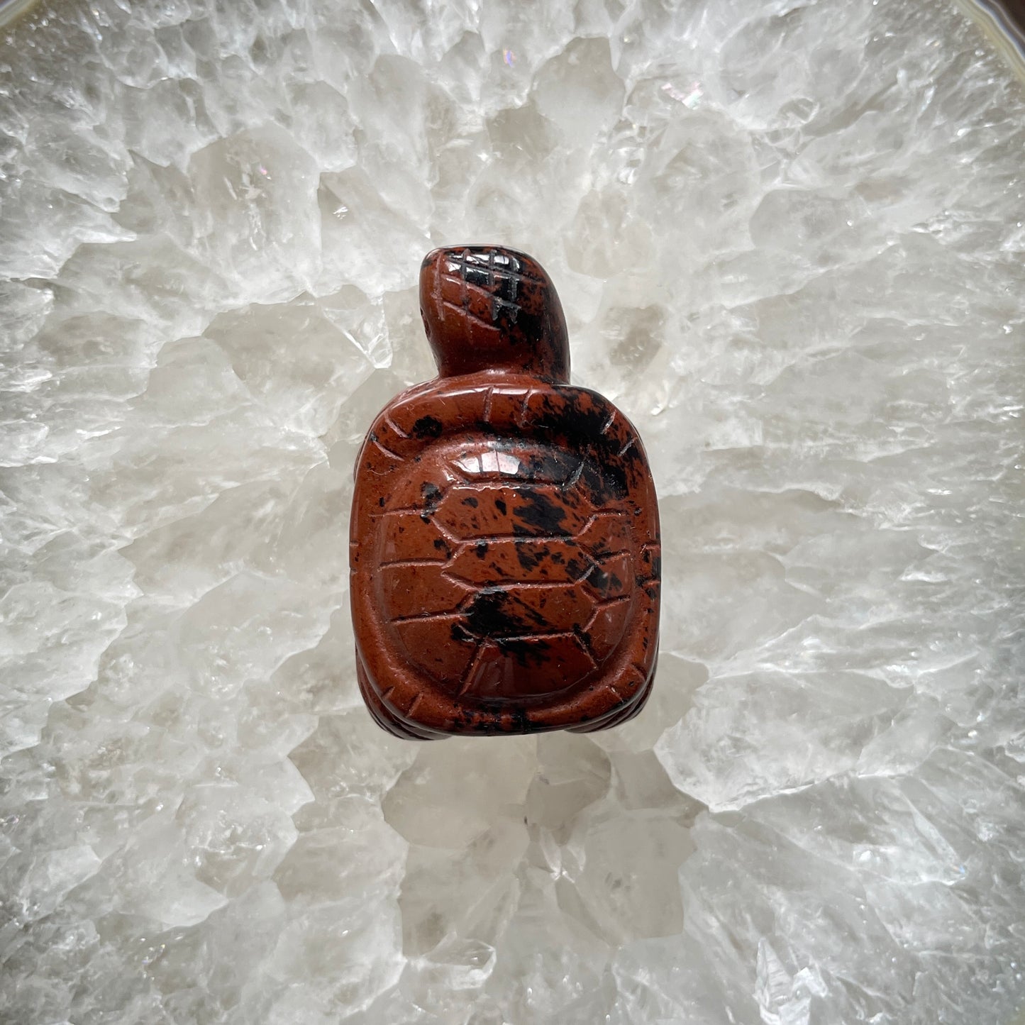 Turtle Animal Carvings