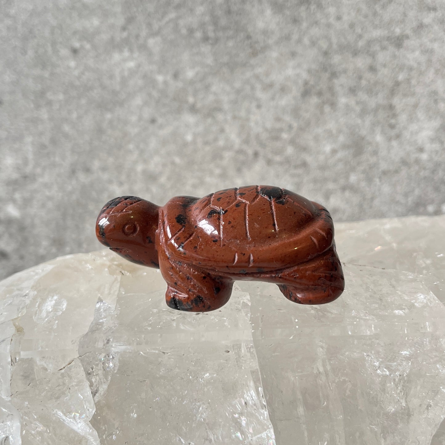 Turtle Animal Carvings