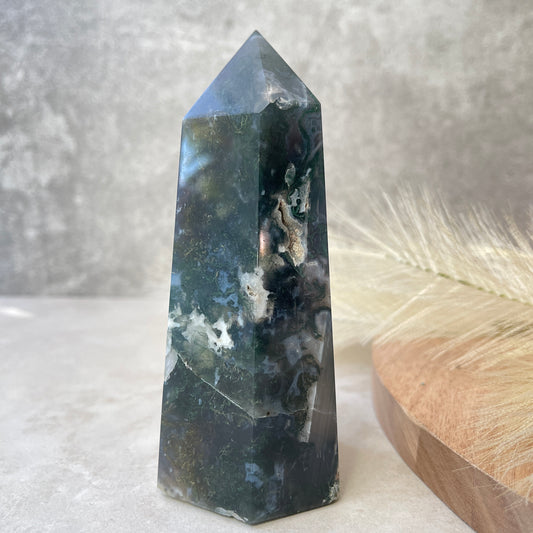 Moss Agate Point