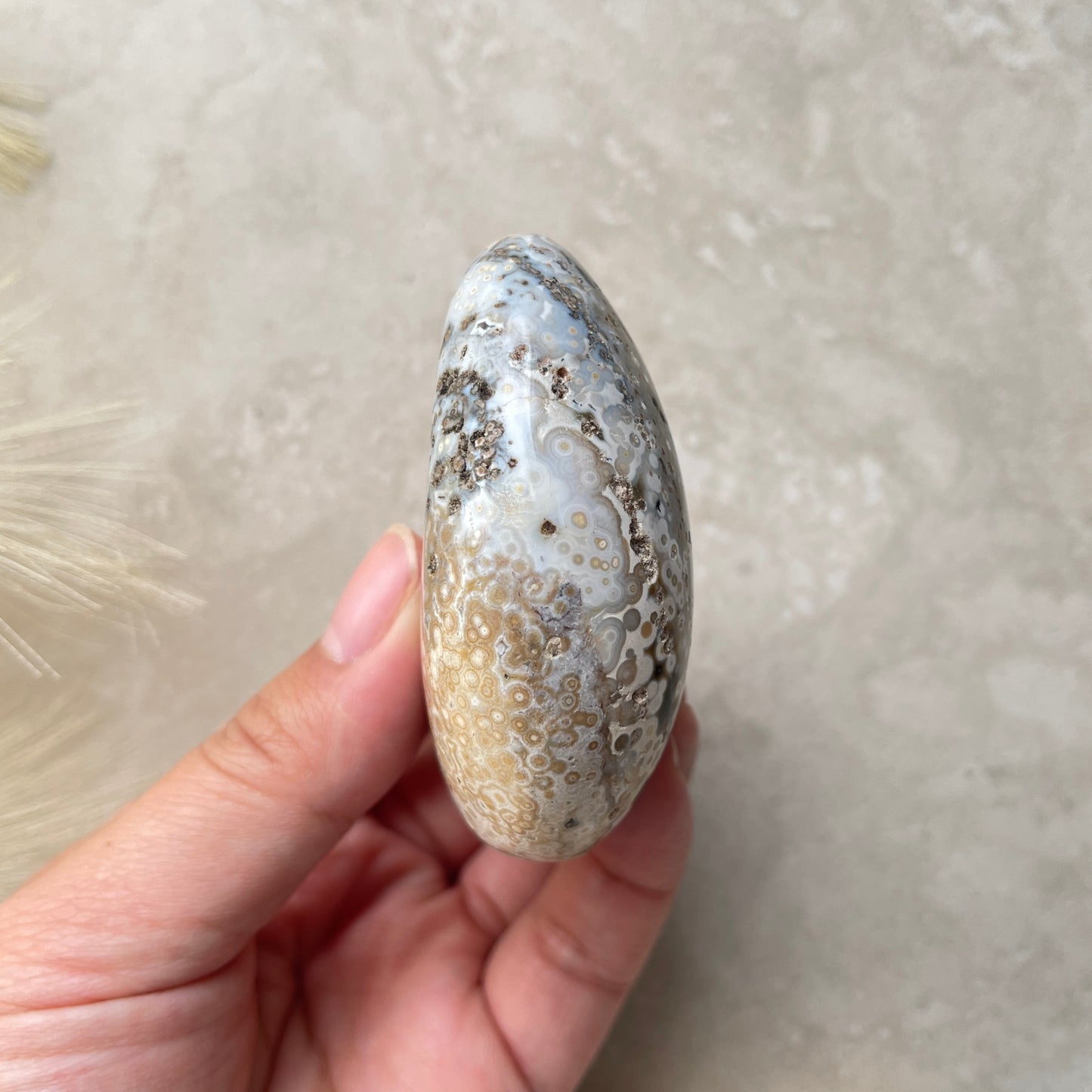 Ocean Jasper Palm Stone