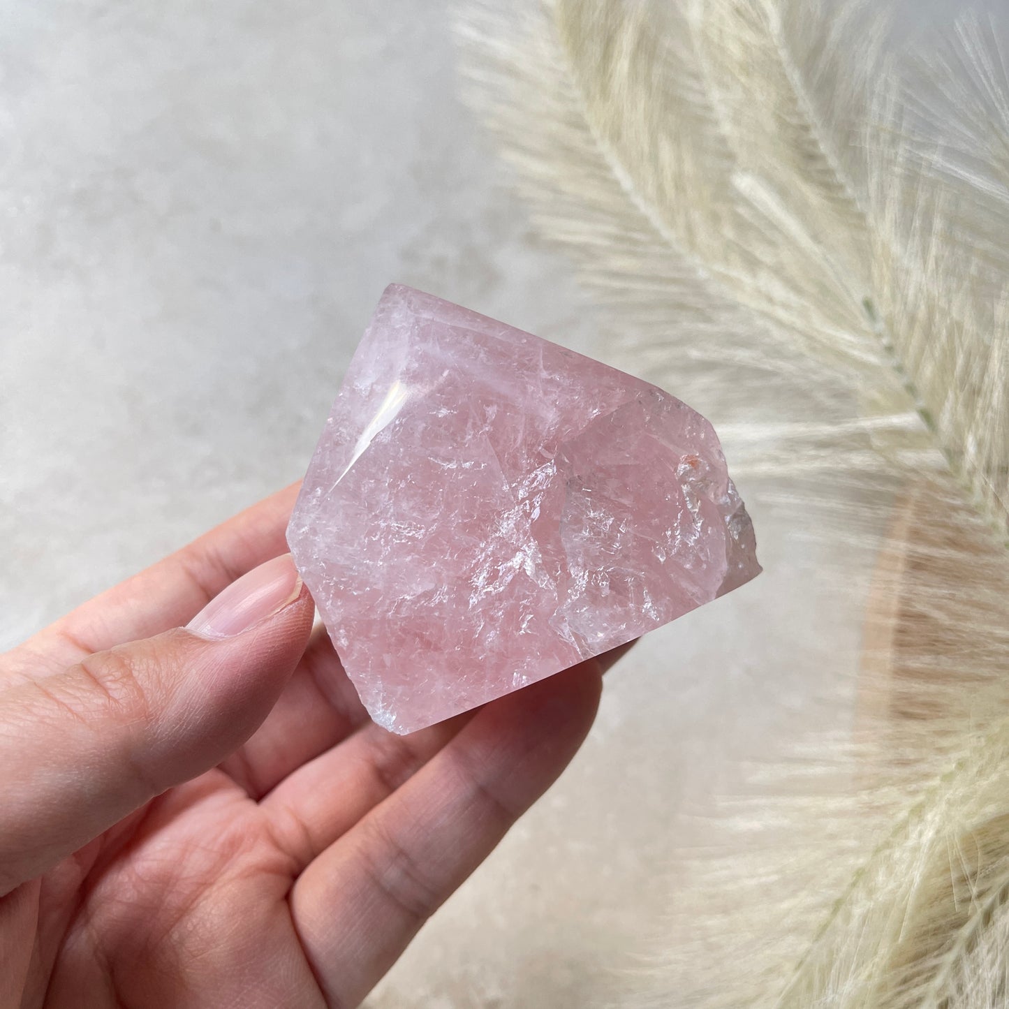 Rose Quartz Point Half Polished Half Rough