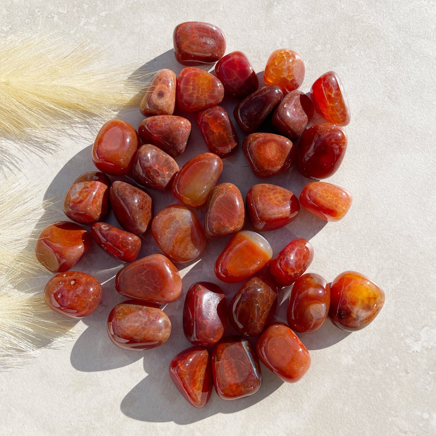 Fired Carnelian Tumbles