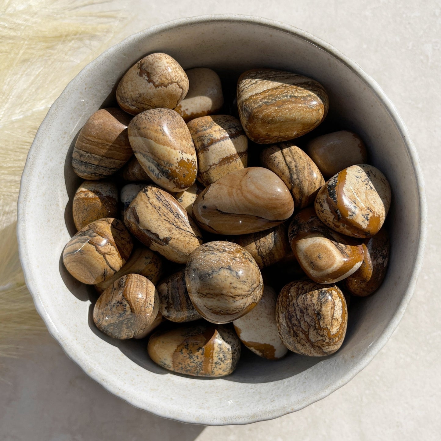 Picture Jasper Tumbles